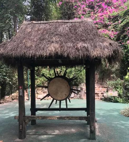 原创美丽的基诺族