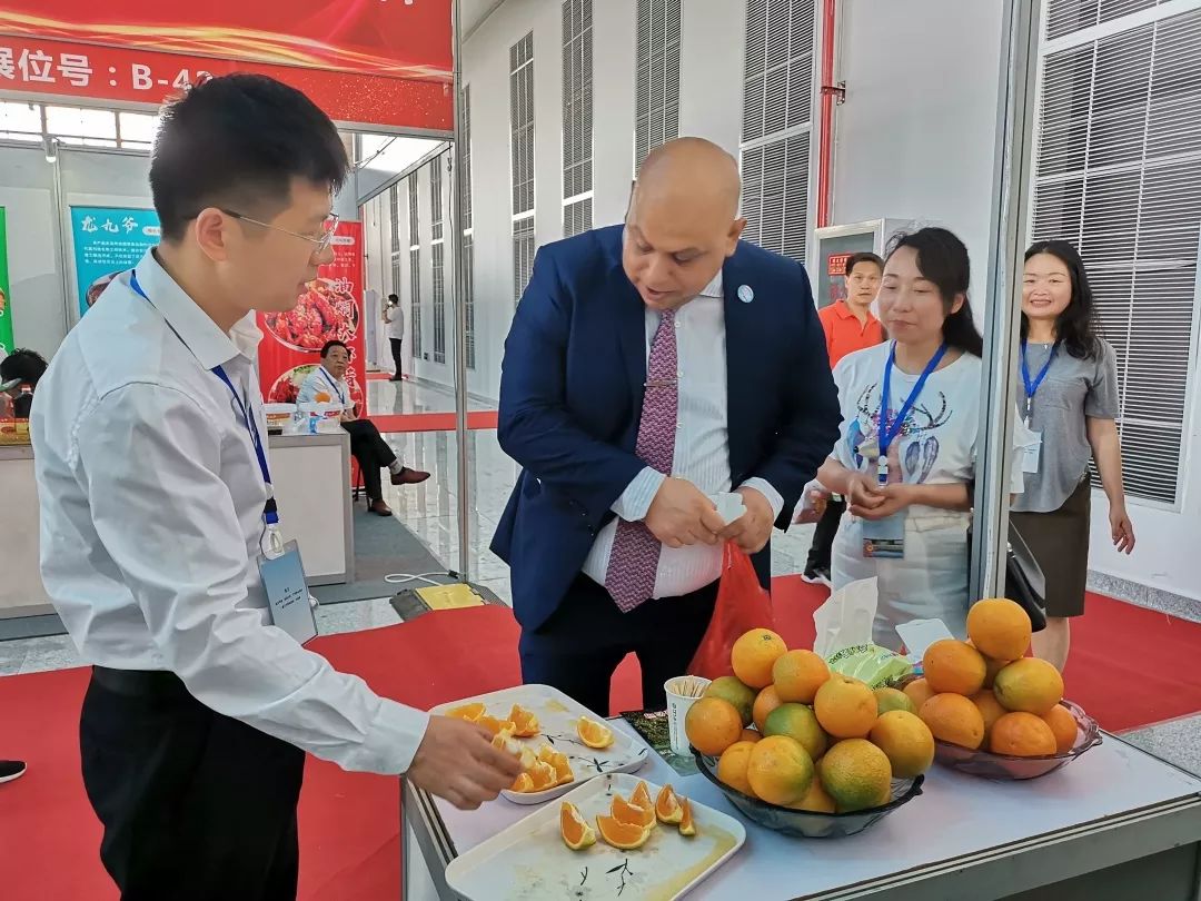 龙虾节上吃脐橙,秭归与潜江推动文化旅游区域协作