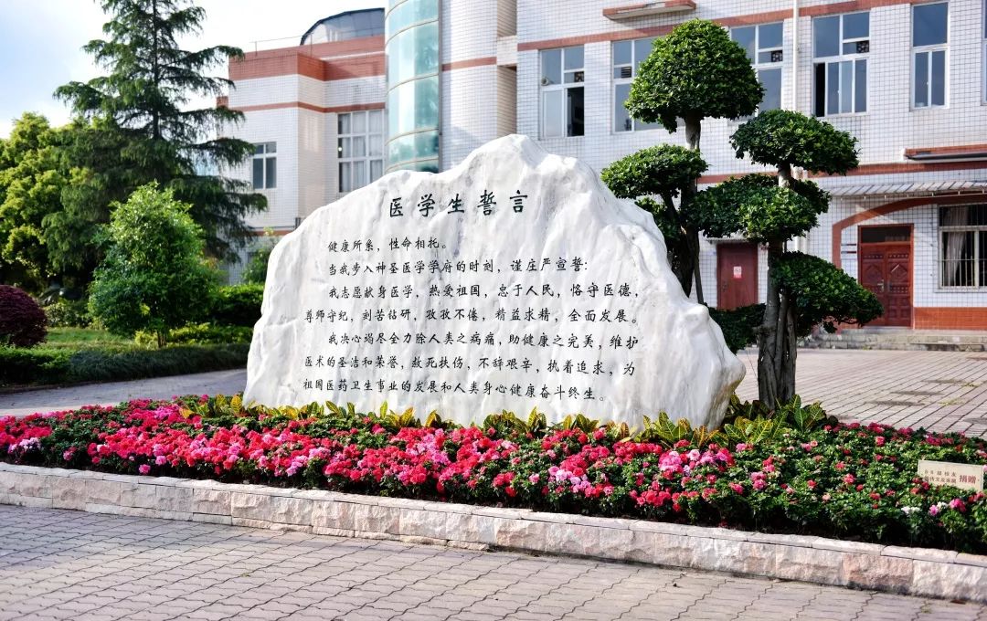 权威发布!西南医科大学2019年普通本专科招生简章_专业