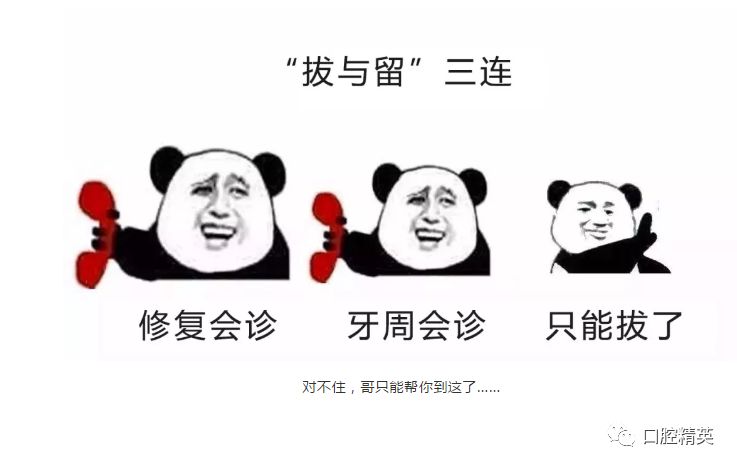 口腔人的三连表情包