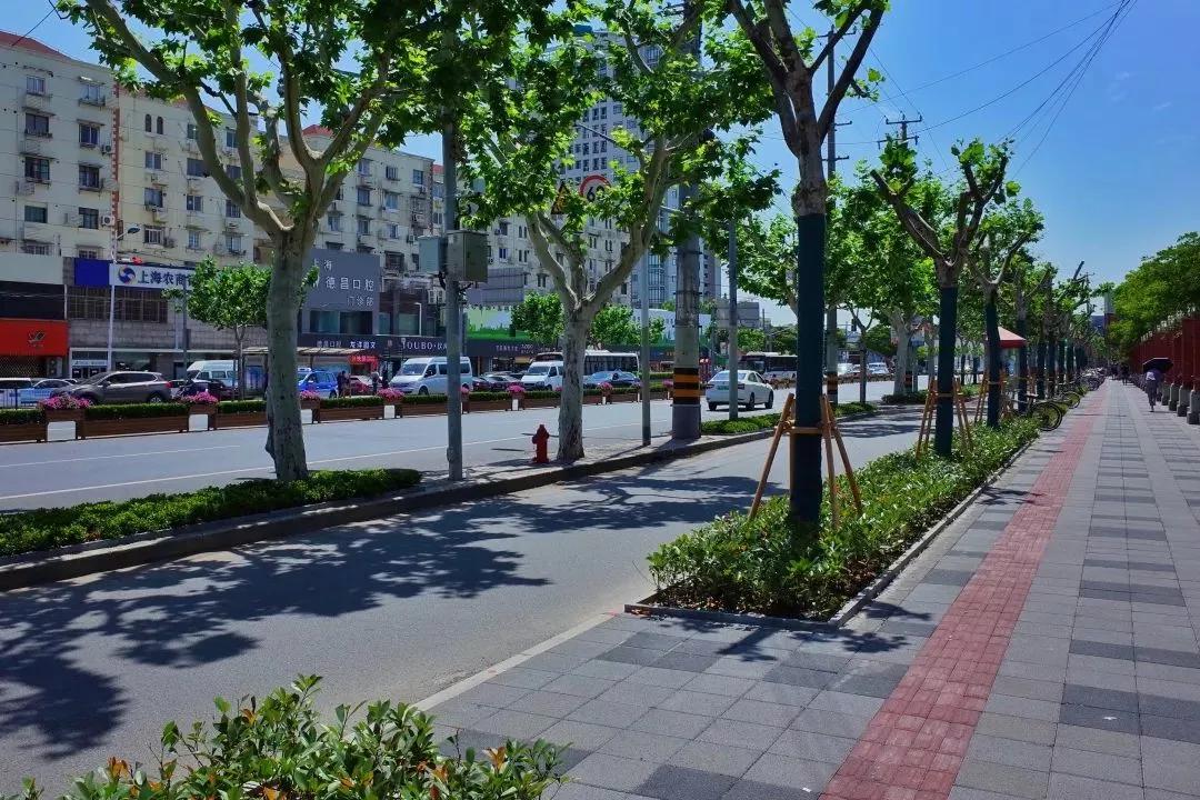 行道树景观效果图,行道树效果图,行道树效果图手绘(第4页)_大山谷图库
