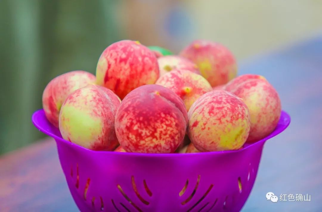 【关注】紫英桃开园香满任店 八方客云集竞相购买