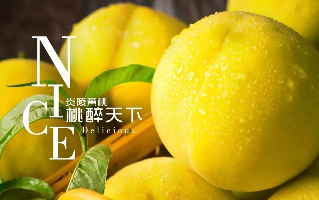 集图有了这些炎陵黄桃宣传图文可以猛发朋友圈了