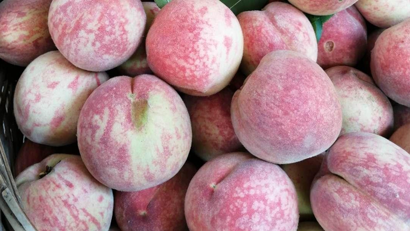 广水胭脂红插上电商"翅膀" 飞往湖北 广东等地_桃子