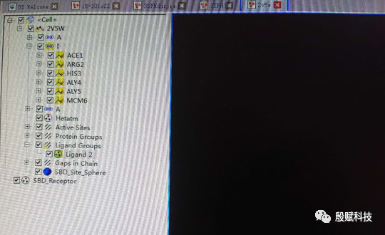 微信学术交流群之聊天记录（4）