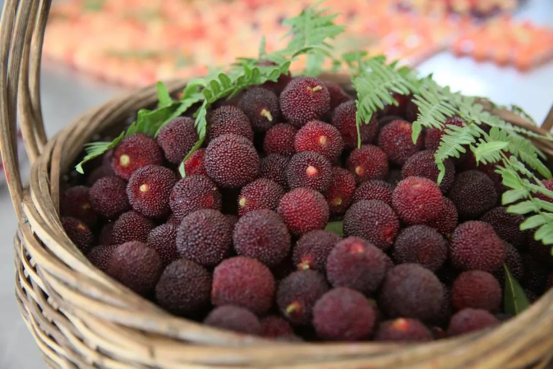 颜值超高的余姚"五彩杨梅",您见过吗?