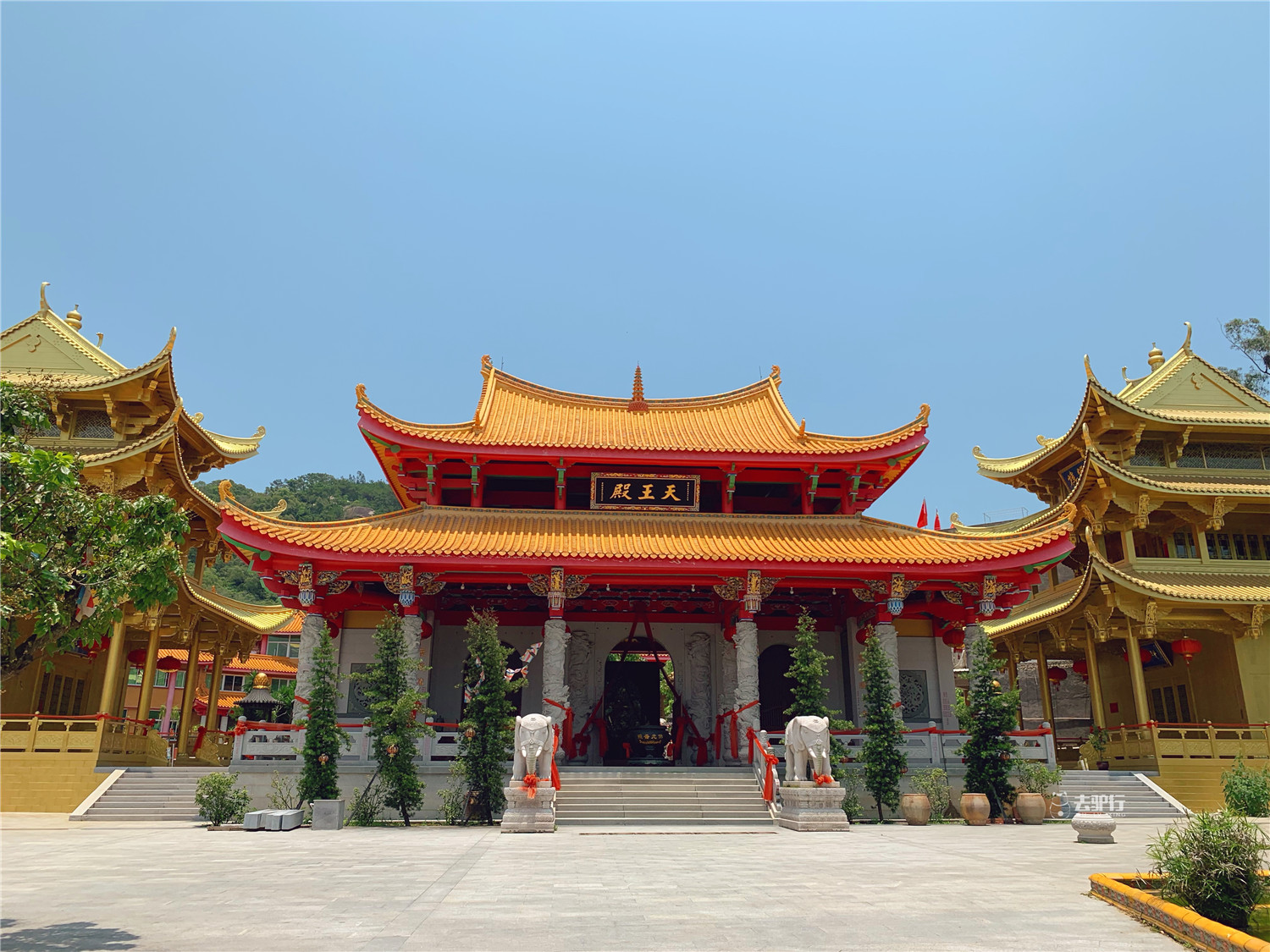 原创中国最大的寺内佛像:高达21米却少有人拜,竟藏身在厦门曾厝垵