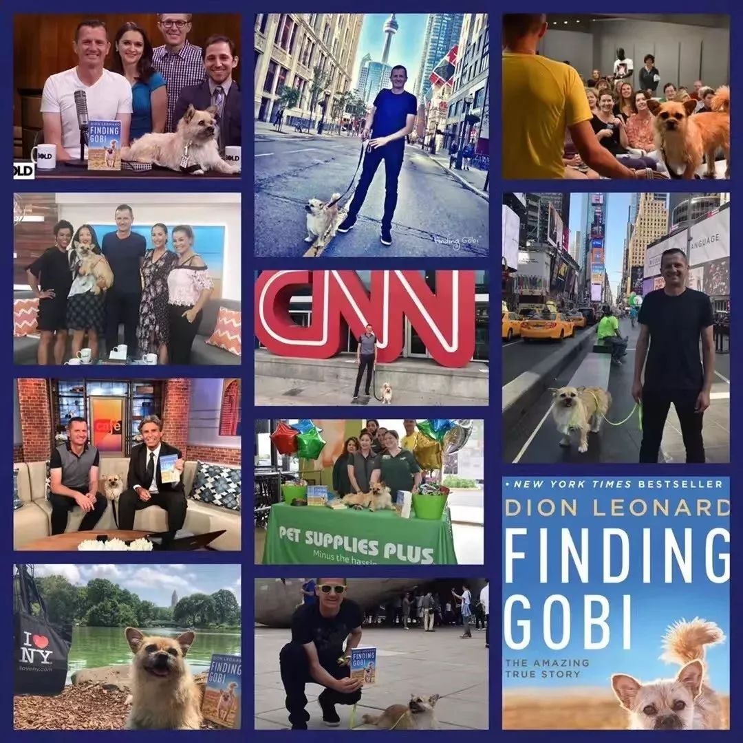 寻找gobi你陪我跑过大漠戈壁我飘洋过海来寻你