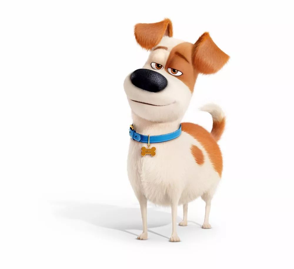 这也是《爱宠大机密2》里麦克所要面临的新问题孩子是它焦虑的来源