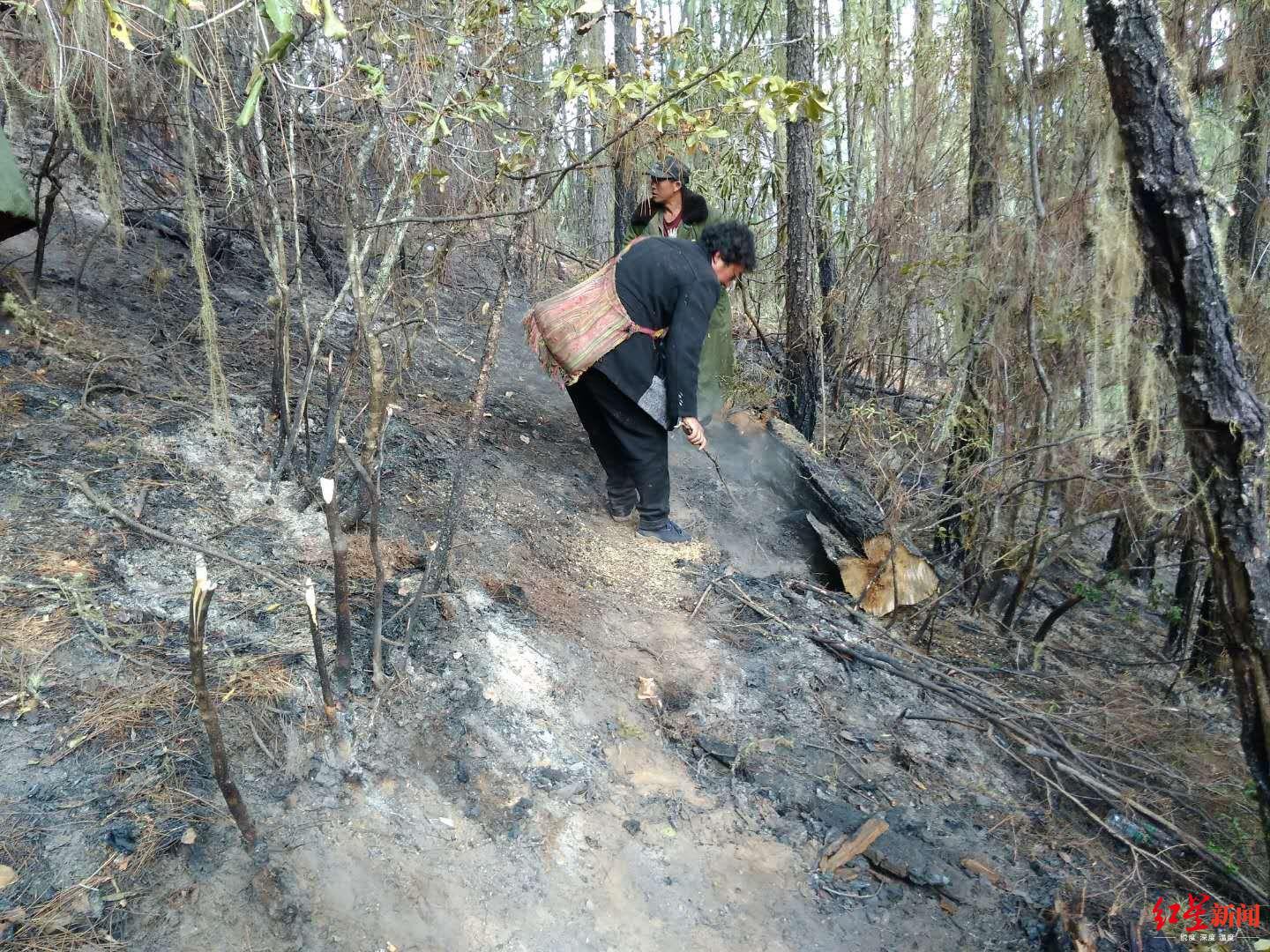 涼山木裡發生森林火災 60餘名村民通宵奮戰將火撲滅