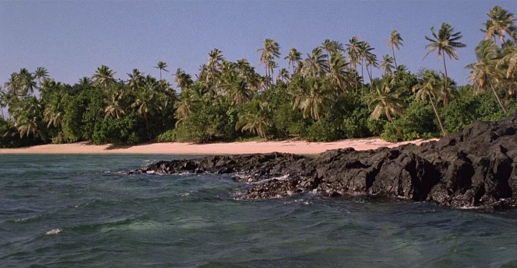 39年前的神作少男少女在荒岛过了没羞没臊的10年