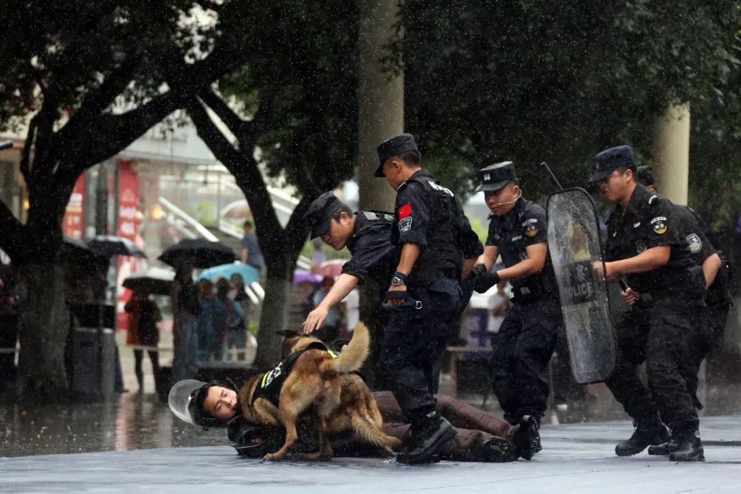 警犬出击▲警犬出击最终两名恐怖极端分子当场击毙,另外两名现场