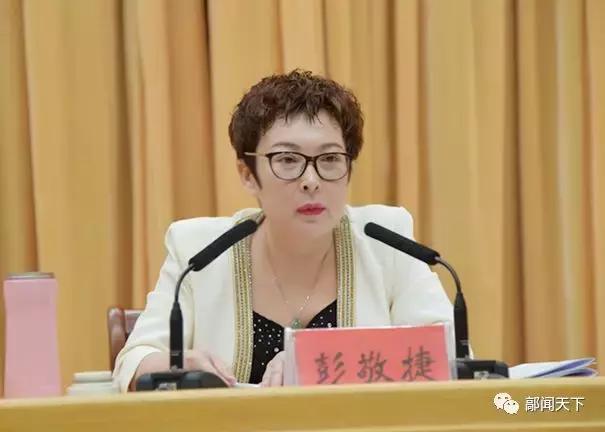 县领导彭敬捷,陈宏锋,张会革,王惠武,宋英华 ,高英敏,任秀力,杨海清