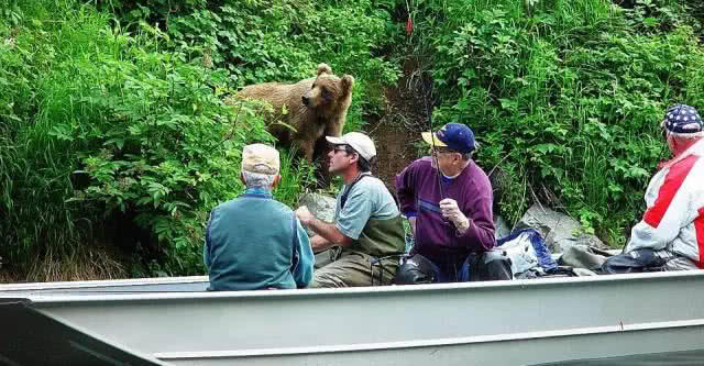 阿拉斯加州钓鱼的特别规定只有鱼钩钓到鱼的嘴才算合法