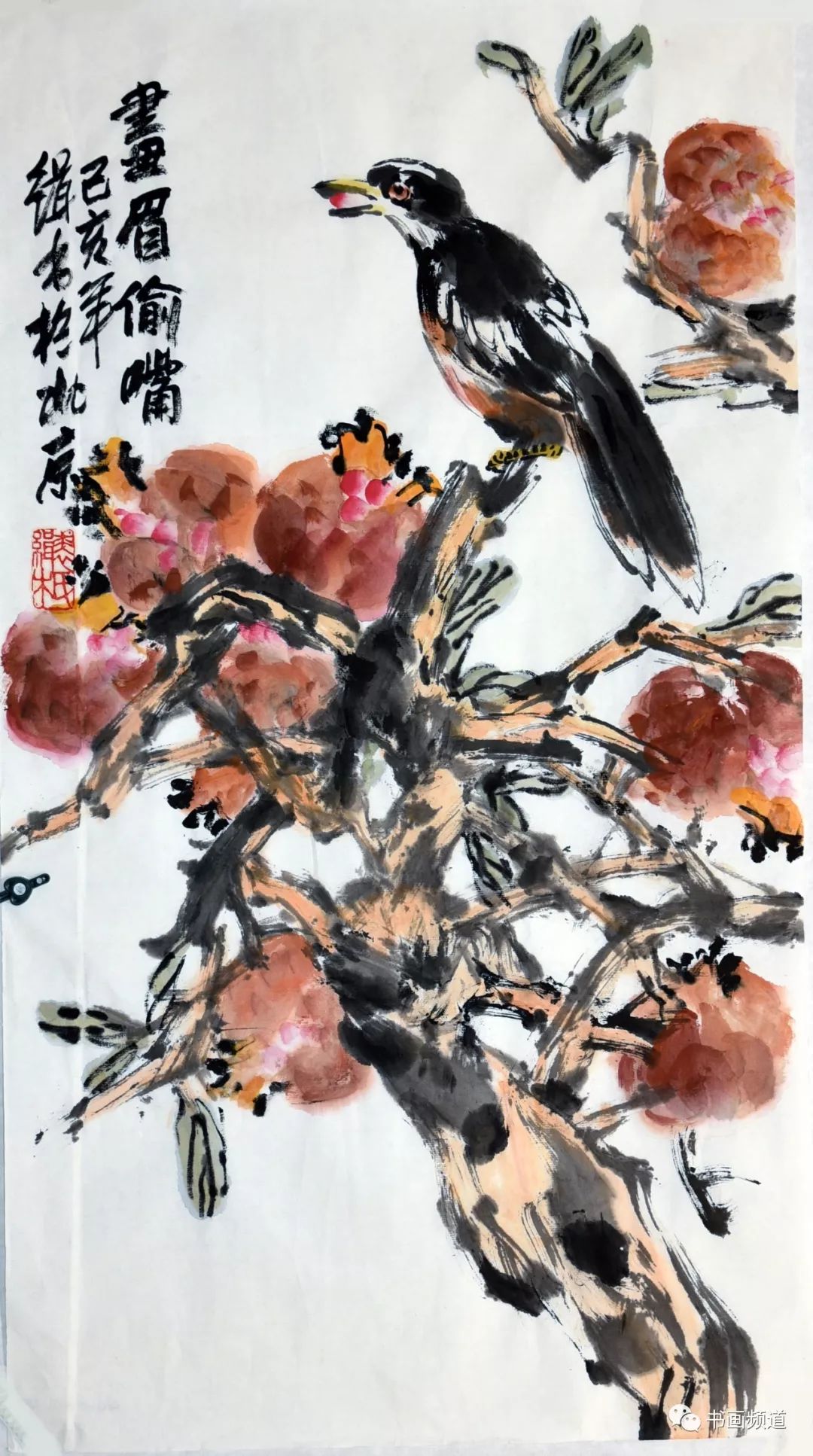 画眉偷嘴68.