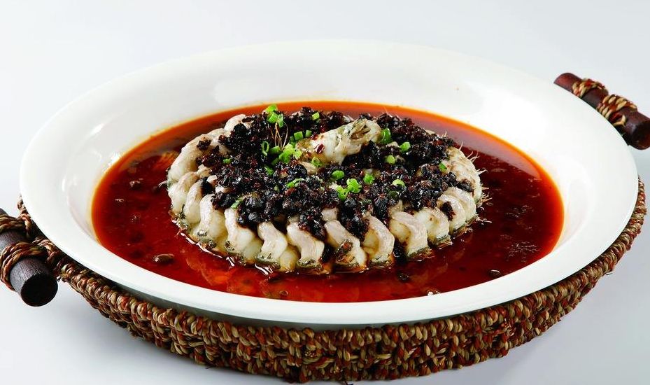 白剑波专栏盘龙鱼