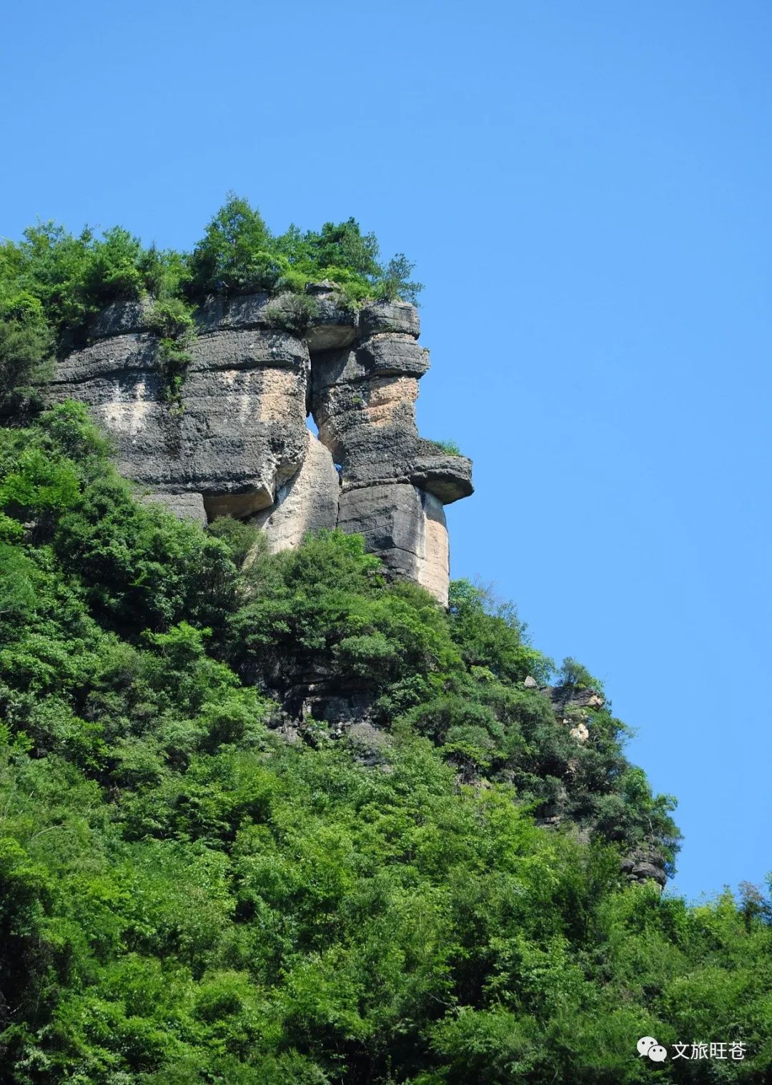 邀请四川旺苍红绿辉映如此多娇欢迎您来看看