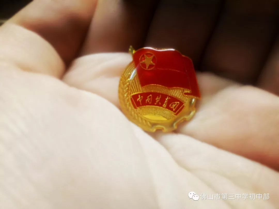 揭晓佛山三中初中部致敬1919我与团徽合个影摄影大赛获奖名单暨团员