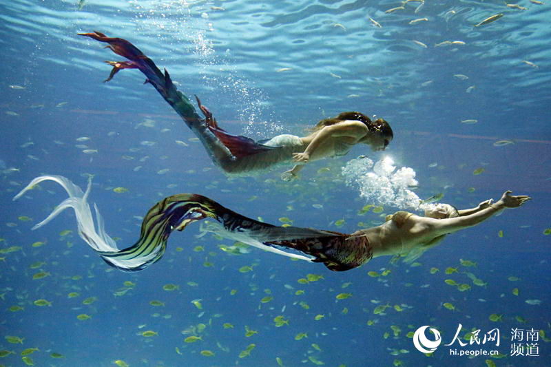 清凉三亚海昌梦幻不夜城美人鱼秀精彩夺目