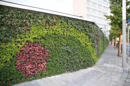 不用土不用盆平面立体任你选垒土让绿化更艺术