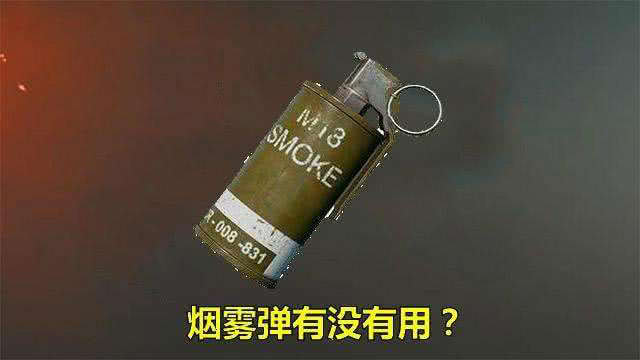 其实烟雾弹在游戏中比手榴弹更加的有用,特别是在决赛圈的时候,如果是