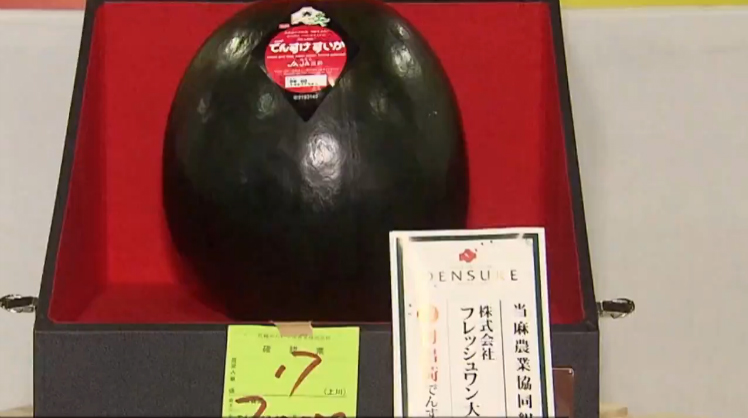 全球最贵西瓜!11公斤日本黑西瓜卖出4.8万元