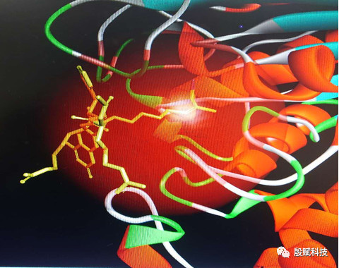 微信学术交流群之聊天记录（4）