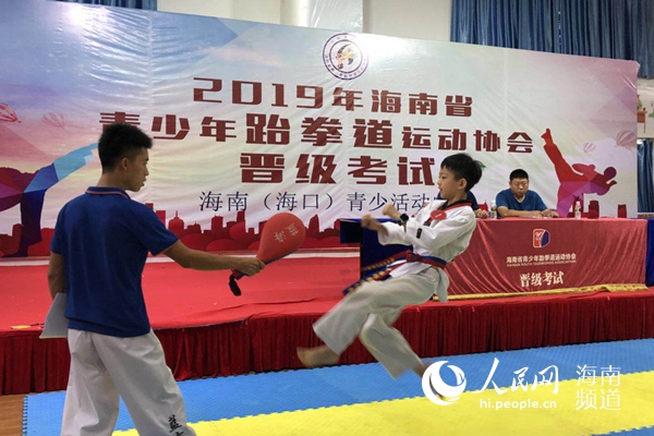 2019海南省青少年跆拳道运动协会晋级考试举行
