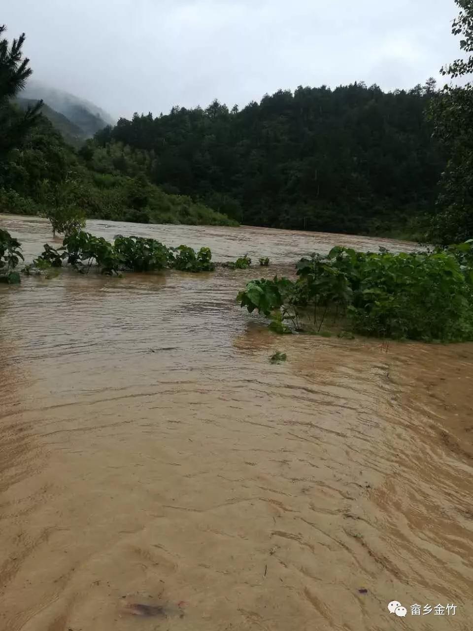 罕见特大暴雨侵袭金竹防汛救灾进行时