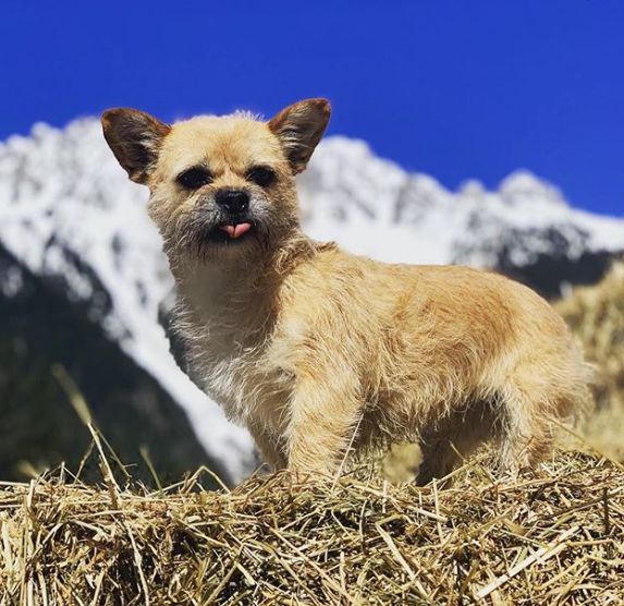 寻找gobi你陪我跑过大漠戈壁我飘洋过海来寻你