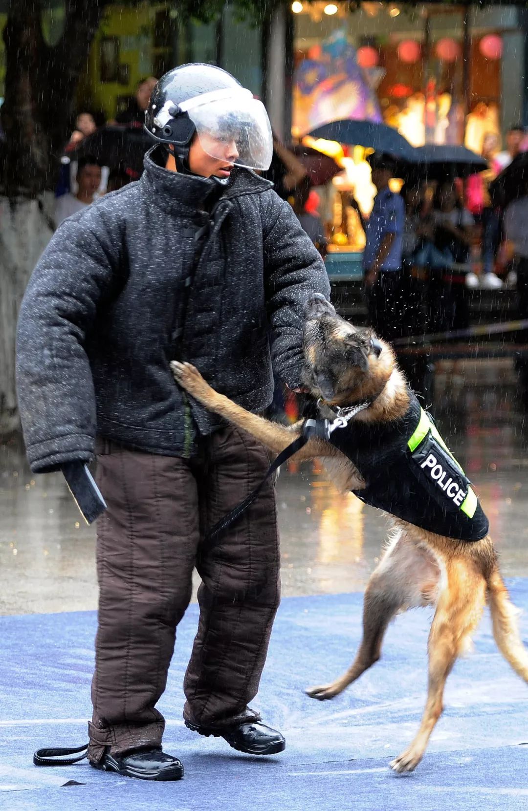 警犬出击最终两名恐怖极端分子当场击毙,另外两名现场制服,巴人埂场