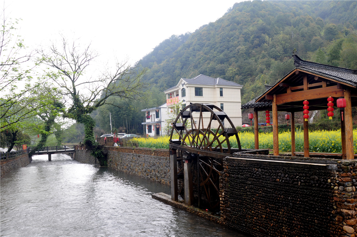 太甲山下的美丽乡村_山塘村