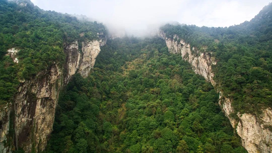 生态建设我县召开江西罗霄山大峡谷国家森林公园总体规划征求意见县级