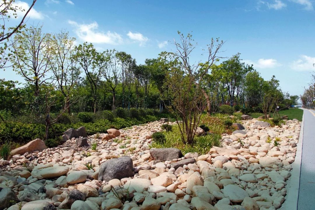 在旱溪景观中,运用砂砾卵石等拟态水景元素,其实蕴涵着极深禅意,虽无