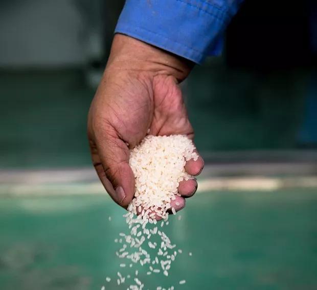 从草原到餐桌:一粒鲜米的新零售之旅