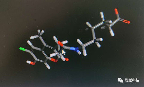 微信学术交流群之聊天记录（4）