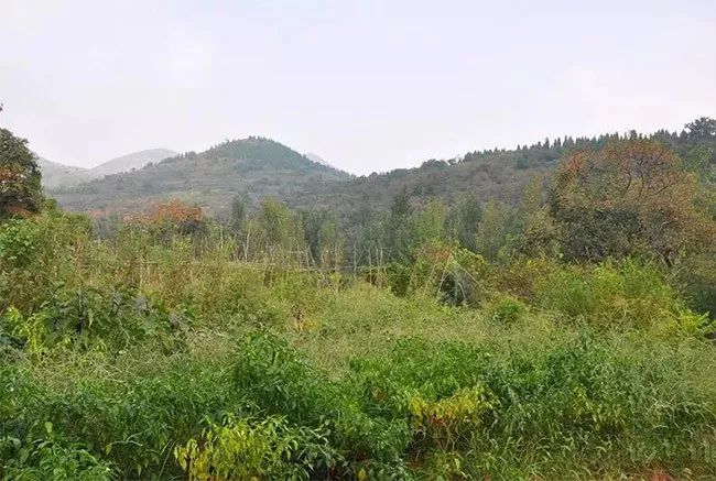 青州市东胡村一个被风景区包围的美丽乡村