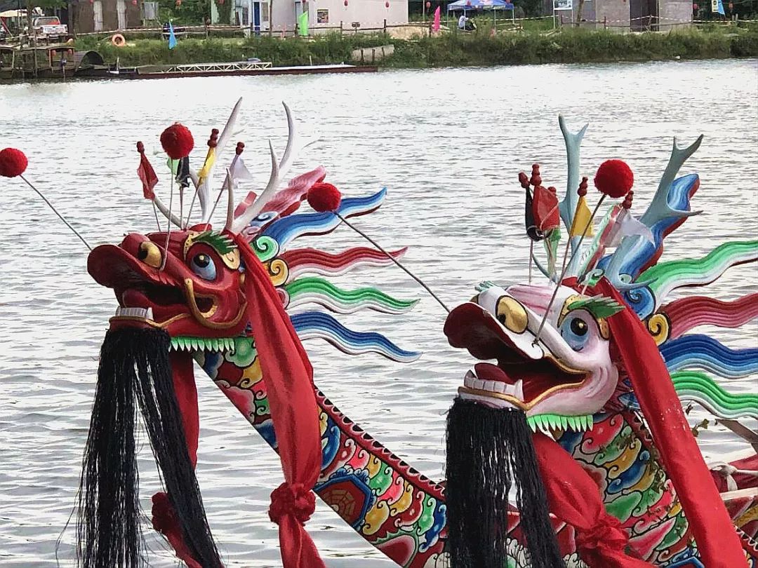 习俗南溪龙舟威武传神