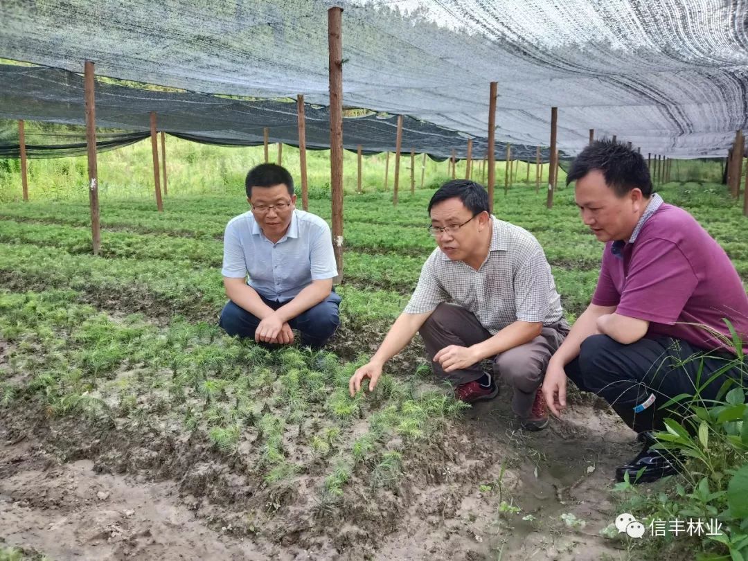 黄敬怡到信丰下沉指导防汛及灾后重建工作