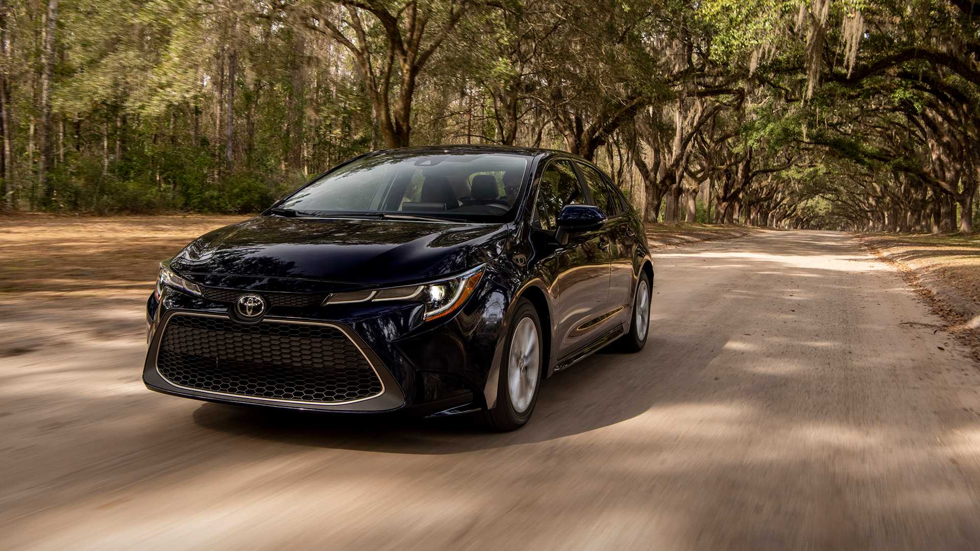 2020款卡罗拉大变革,换掉突兀的"猪鼻子"