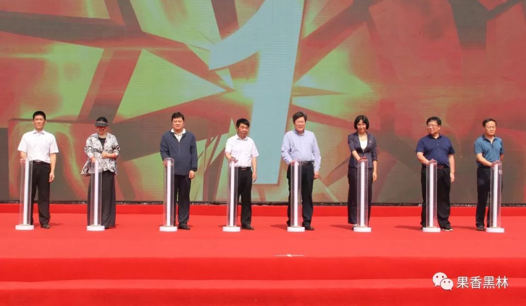 首届黑林镇蓝莓采摘文化节盛大开幕啦