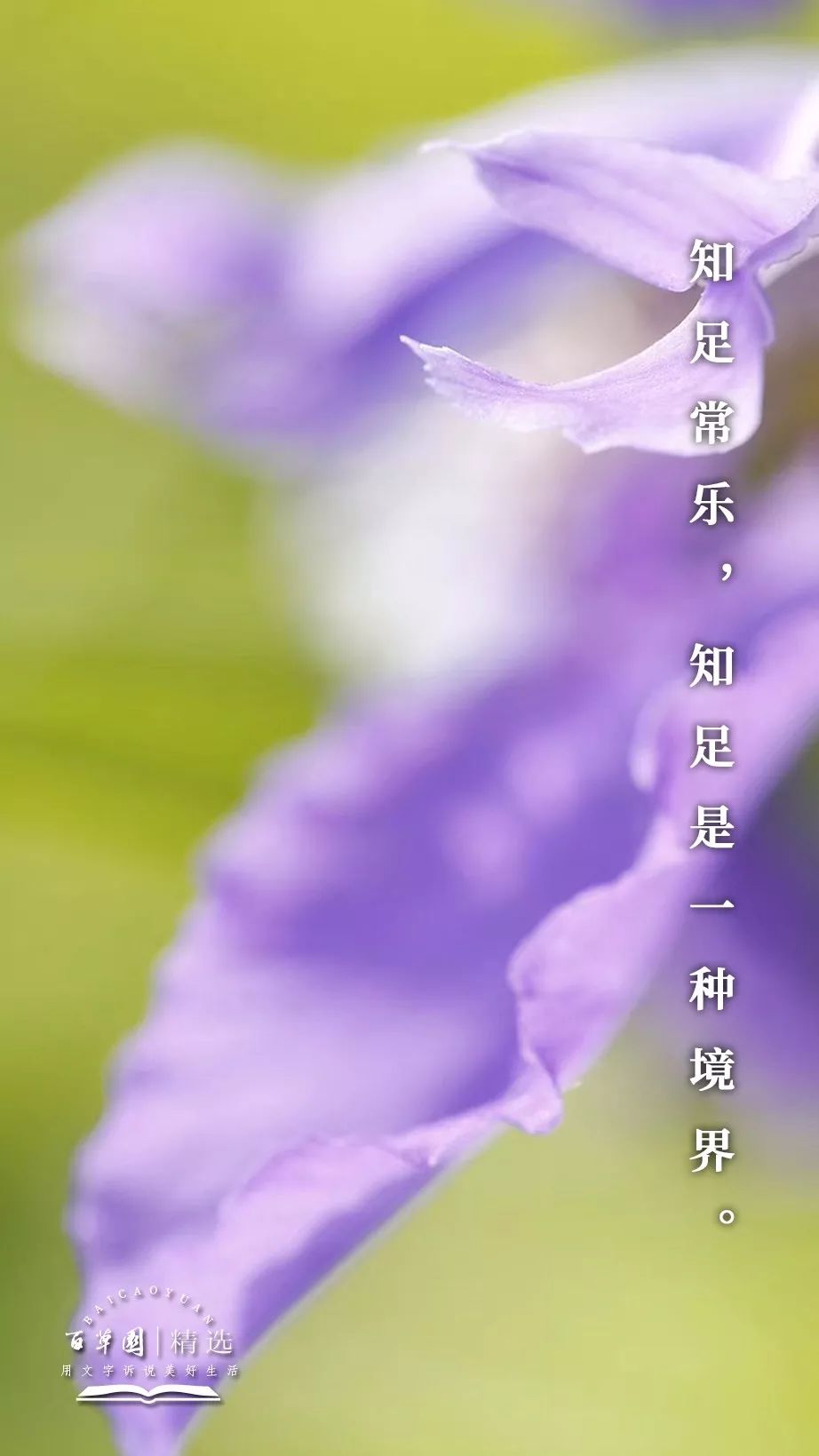 生活禅 | 知足常乐,知足是一种境界