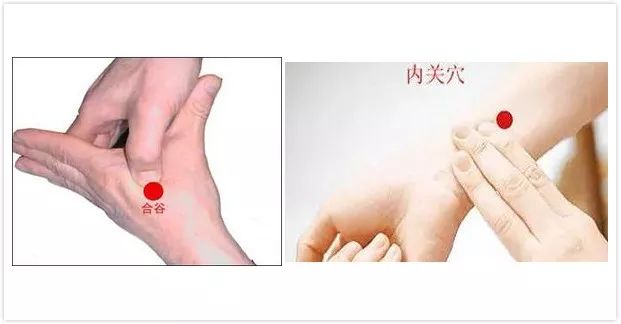 我们为什么会晕车?如何预防?