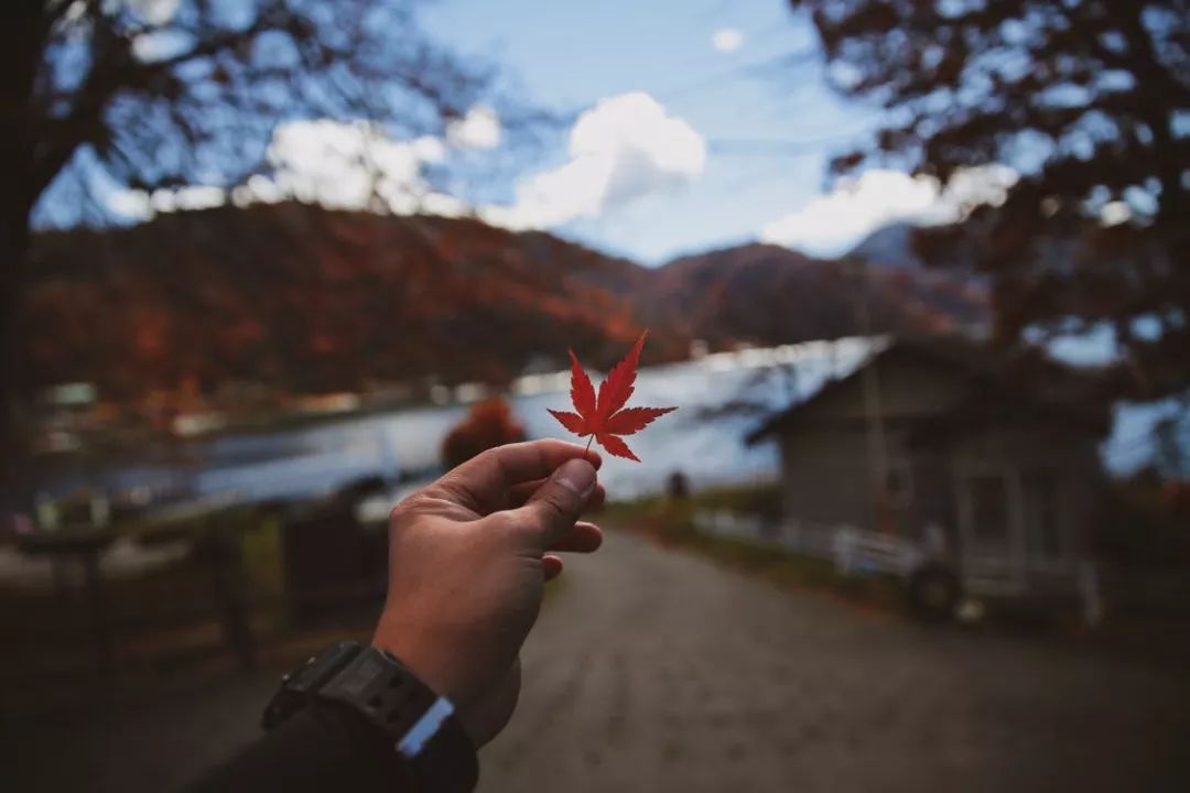这世上总有人指手画脚