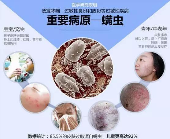 尤加利(桉树)精油泡洗粉丨泡一泡,除螨,除菌,除异味