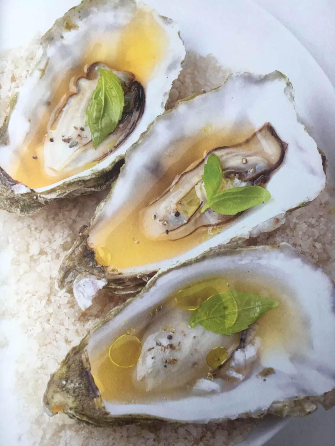 博士生蚝橘汁烤牡蛎秒杀烧烤摊一条街