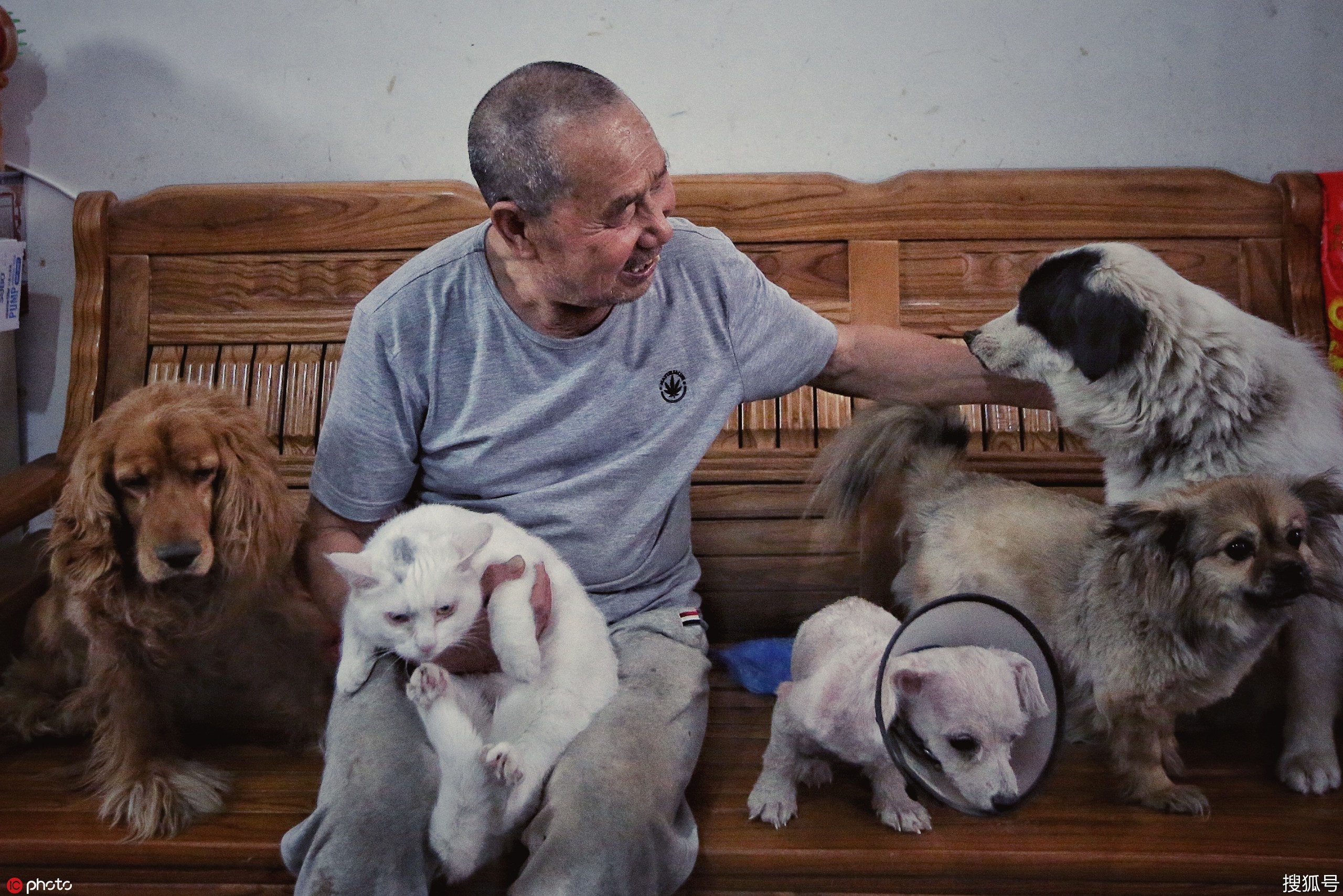 北京70岁老人和他的180只流浪动物艰难度日