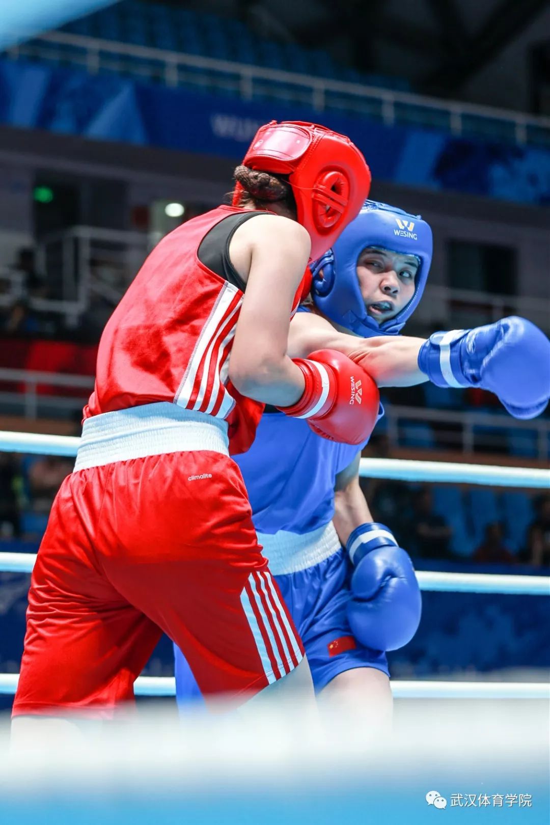 太燃了女拳王巅峰对决引爆武体体育馆