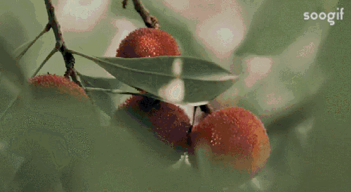 500_273gif 动态图 动图