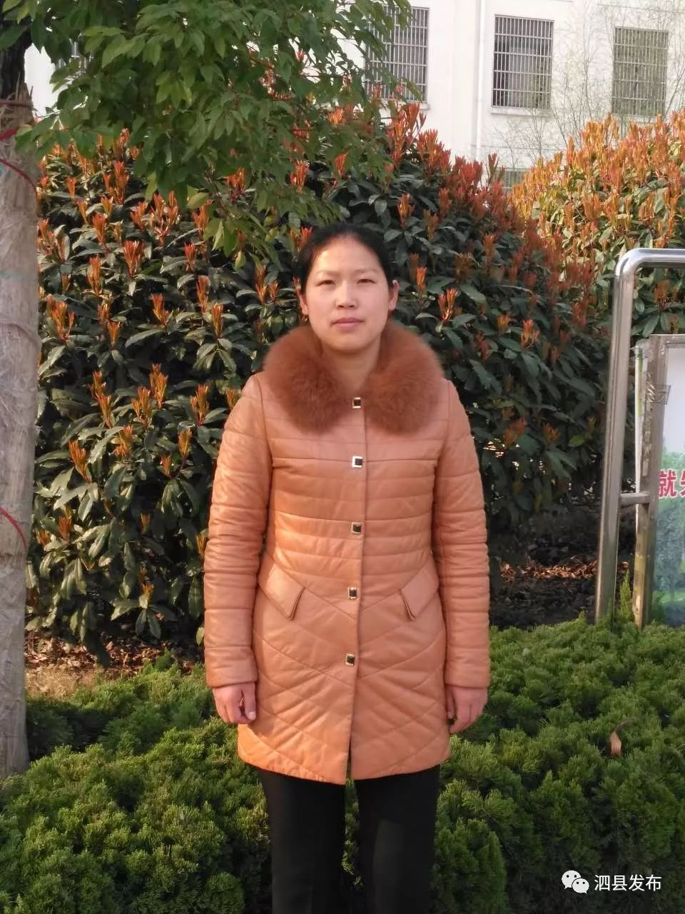 头条 | 青春从此走过  奋斗永不止步——献给泗县一中人